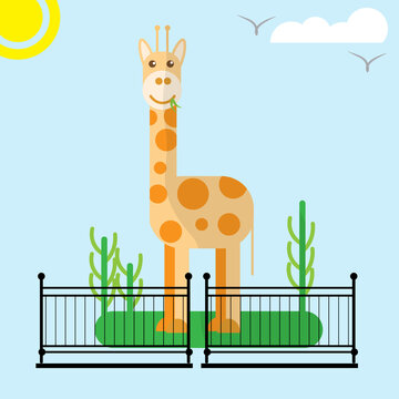 Illustration of a giraffe in a zoo, bright sunny day, for children's needs, Flat style, Postcard, cover, games. Vector illustration