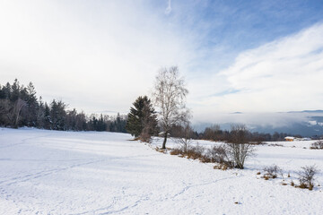 Schnee bedeckte winterliche Landschaft im bayerischen Wald, Deutschland