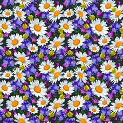 Wild flowers seamless pattern. Camomile, purple, yellow and pink flowers
