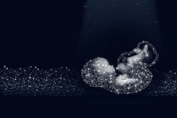 Hologram human Embryo with digital line on dark blue background. Technology and innovation concept.