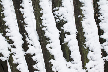 Obraz premium Sparse composition with wooden fence covered in snow