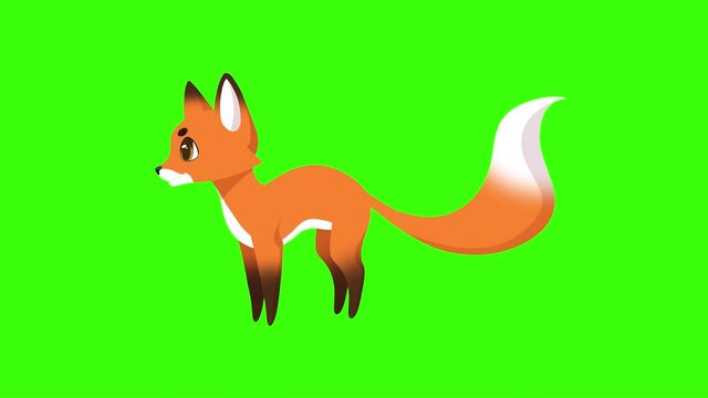 Cute cartoon yawning and stretching fox 2d animation on chroma key green background