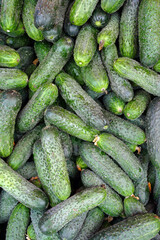 fresh cucumbers in the market