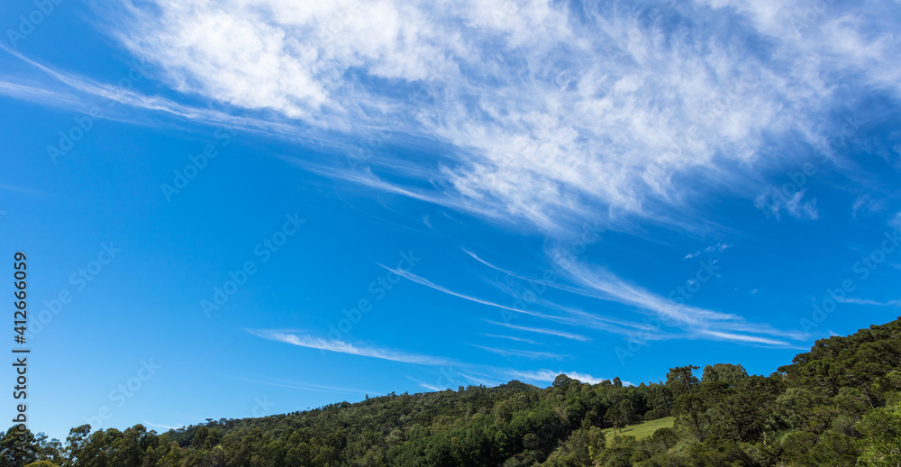 Poster Colina verde com floresta e céu azul com nuvens