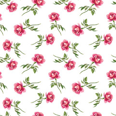 Pink rose pattern Watercolor seamless floral background