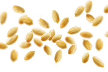 Peanuts Against White Background
