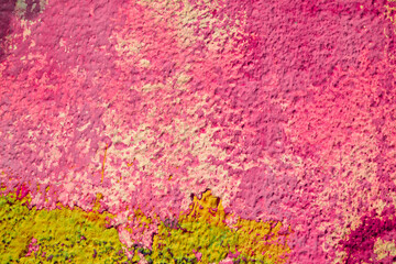 Grunge wall background. Old dry paint texture. Grungy wall abstract texture. Vintage material. Grunge crack wall surface.