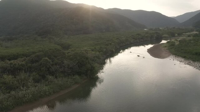 Amami Oshima mangrove at sunset