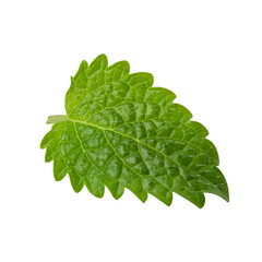 Mint leaf isolated on white background close-up © Arina B