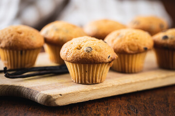 Vanilla muffins. Sweet cupcakes and vanilla pods