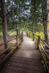 Wood trail in the deep woods of Gooseberry Falls State Park in Minnesota