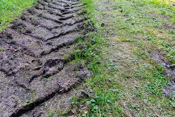 tracks of a heavy tractor and green grass