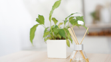 Fragrance sticks in glass bottle with flower in a vase on the white background. Air freshener sticks.
