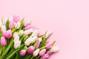Bouquet of pink and white tulips on a pink background. Flat lay, copy space - obrazy, fototapety, plakaty