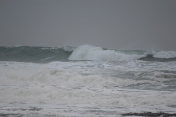 Mavericks Waves Half moon Bay Foggy Day