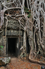 Ta Prohm temple at Angkor. Siem Reap province. Cambodia