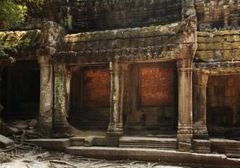 Fototapeta premium Ta Prohm temple at Angkor. Siem Reap province. Cambodia