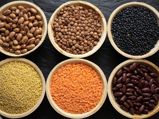 Dried, legume, leguminous plants, structure, assortment chickpea, kidney beans, pink coconut beans, green lenses, beluga lenses, millet, coral lenses, blond lenses, background. Flat lay, top view.