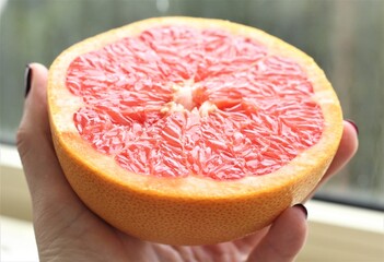 slice of red grapefruit
