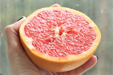 slice of grapefruit in hand