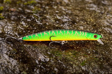 Fishing lure wobbler on a wet stone with moss