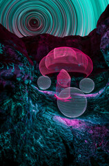 Long exposure, light painted trippy mushroom