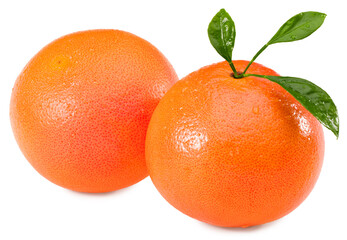 grapefruit with green leaves isolated on white background. full depth of field. clipping path