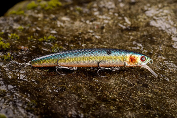 Fishing lure wobbler on a wet stone with moss