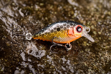 Fishing lure wobbler on a wet stone with moss