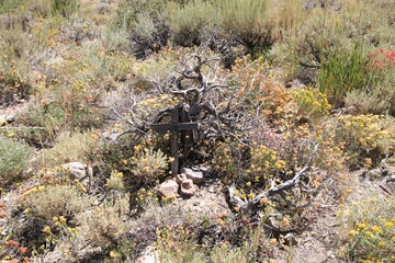 Obraz premium Photos in and Around Bodie State Park