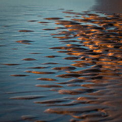 Baltic sea coast at sunset