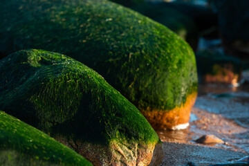 rocks by the sea at sunset