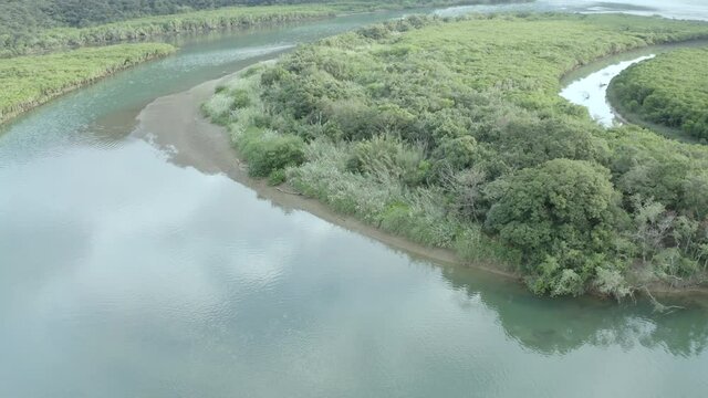 Amami Oshima mangrove at sunset
