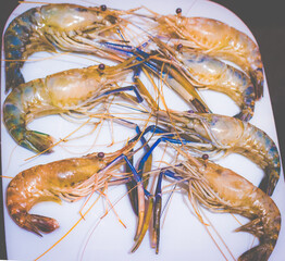 King prawns from Bangladesh
