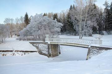Evening in the winter park. Pavlovsk, the vicinity of St. Petersburg. Russia