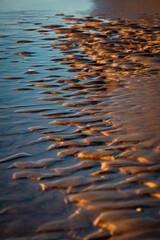 Baltic sea coastline at sunset