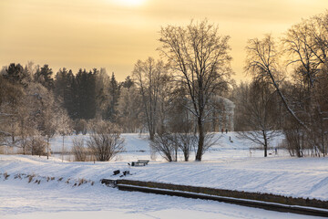 Evening in the winter park. Pavlovsk, the vicinity of St. Petersburg. Russia