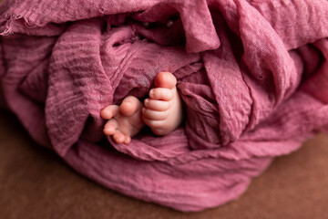 legs of a newborn. baby's legs. baby feet on a pink background