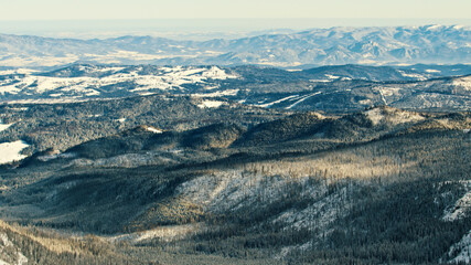 Fototapeta premium Beautiful winter scenery of mountain with pine forest covered in snow. Panning shot. High quality photo