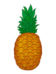 cartoon pineapple. Vector illustration. Isolated on white.