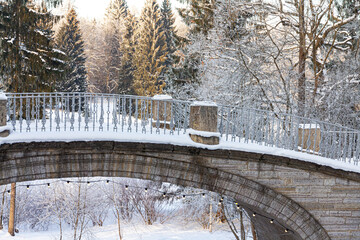 Evening in the winter park. Pavlovsk, the vicinity of St. Petersburg. Russia