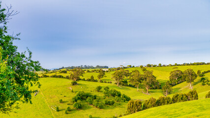 Fototapeta na wymiar Australian Hills in Victoria on a beautiful day