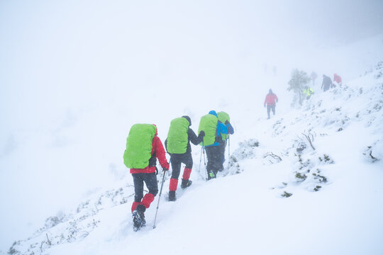 IMAGE OF A GROUP OF PEOPLE HIKING IN EXTREME CONDITIONS. ALPINISTS TREKKING IN HARSH WINTER CONDITIONS. COLD, BAD WEATHER AND FOG CONCEPT.