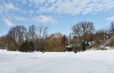 Fototapeta na wymiar Snowy winter landscape in the city park.