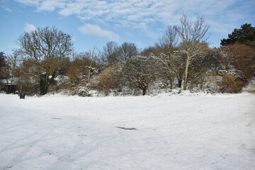 Fototapeta na wymiar Snowy winter landscape in the city park.