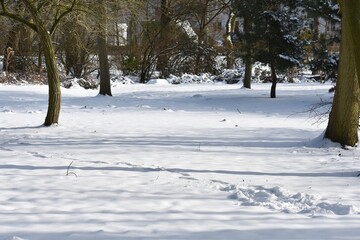 Snowy winter landscape in the city park.