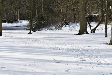 Snowy winter landscape in the city park.