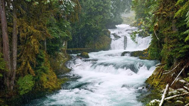 Snowfall in forest mountain stream