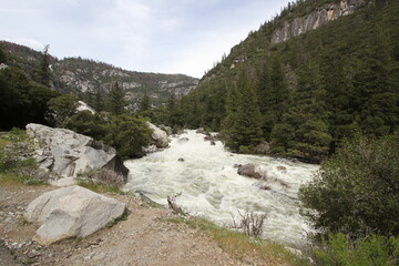 Mountain Streams In and Around Yosemite