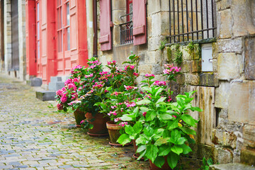 Flower street decorations in historical center of Vitre in Brittany, France